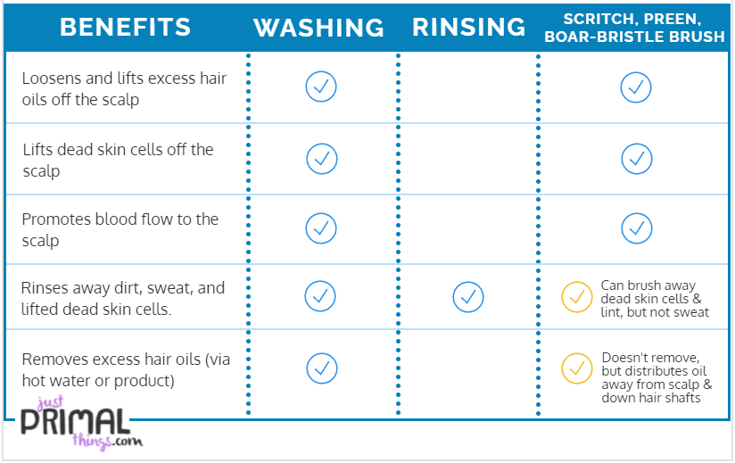 Chart showing benefits of no poo hair wash versus hair rinse