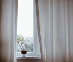 Plant and curtains showing how minimalists can own different items with no rules.